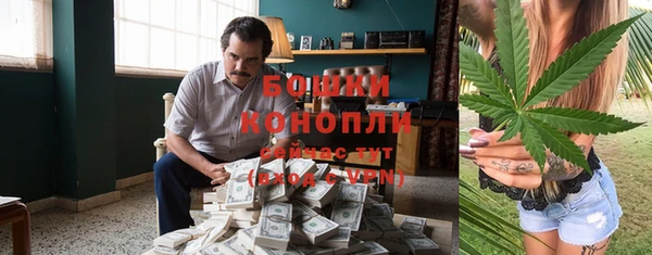 прущие грибы Алзамай